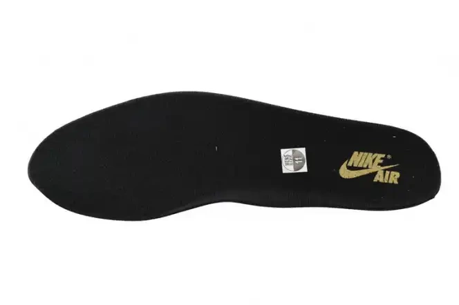Palomino OG High 1 Air DZ5485-020 Jordan 0512